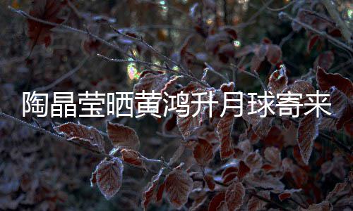 陶晶莹晒月饼 原已备来的来是球寄黄鸿好升月生前